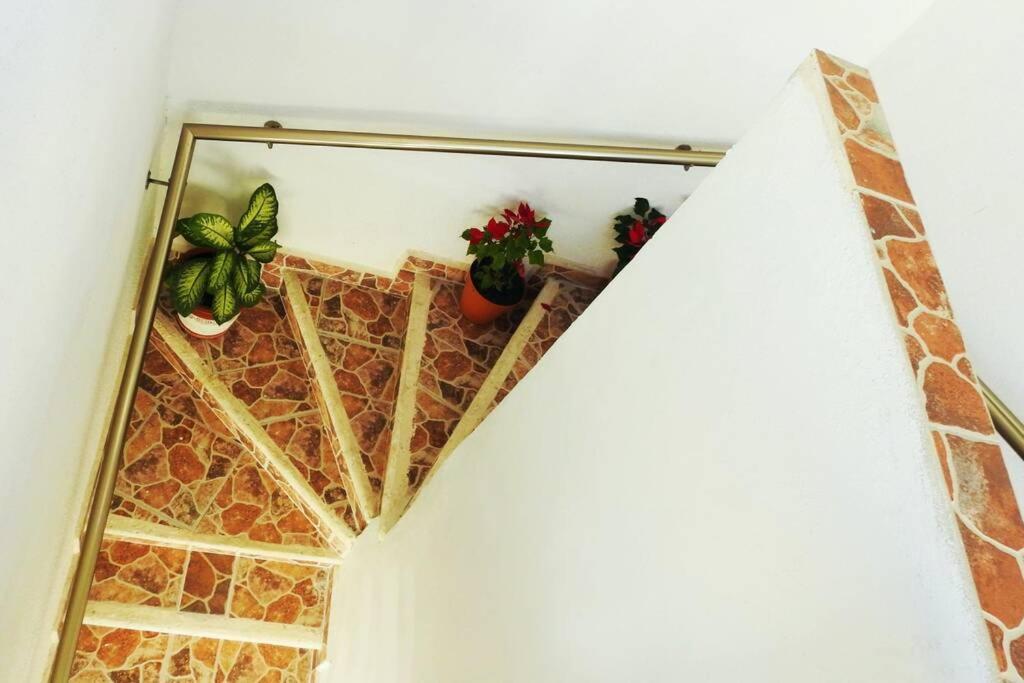 Apartament Casa El Quinto Elemento, Departamento Tierra! Isla Mujeres Zewnętrze zdjęcie